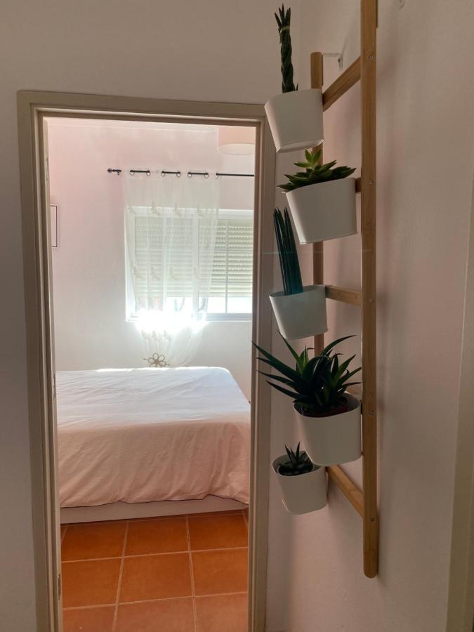 Apartamento Vicentino Vila Nova de Milfontes Exteriér fotografie