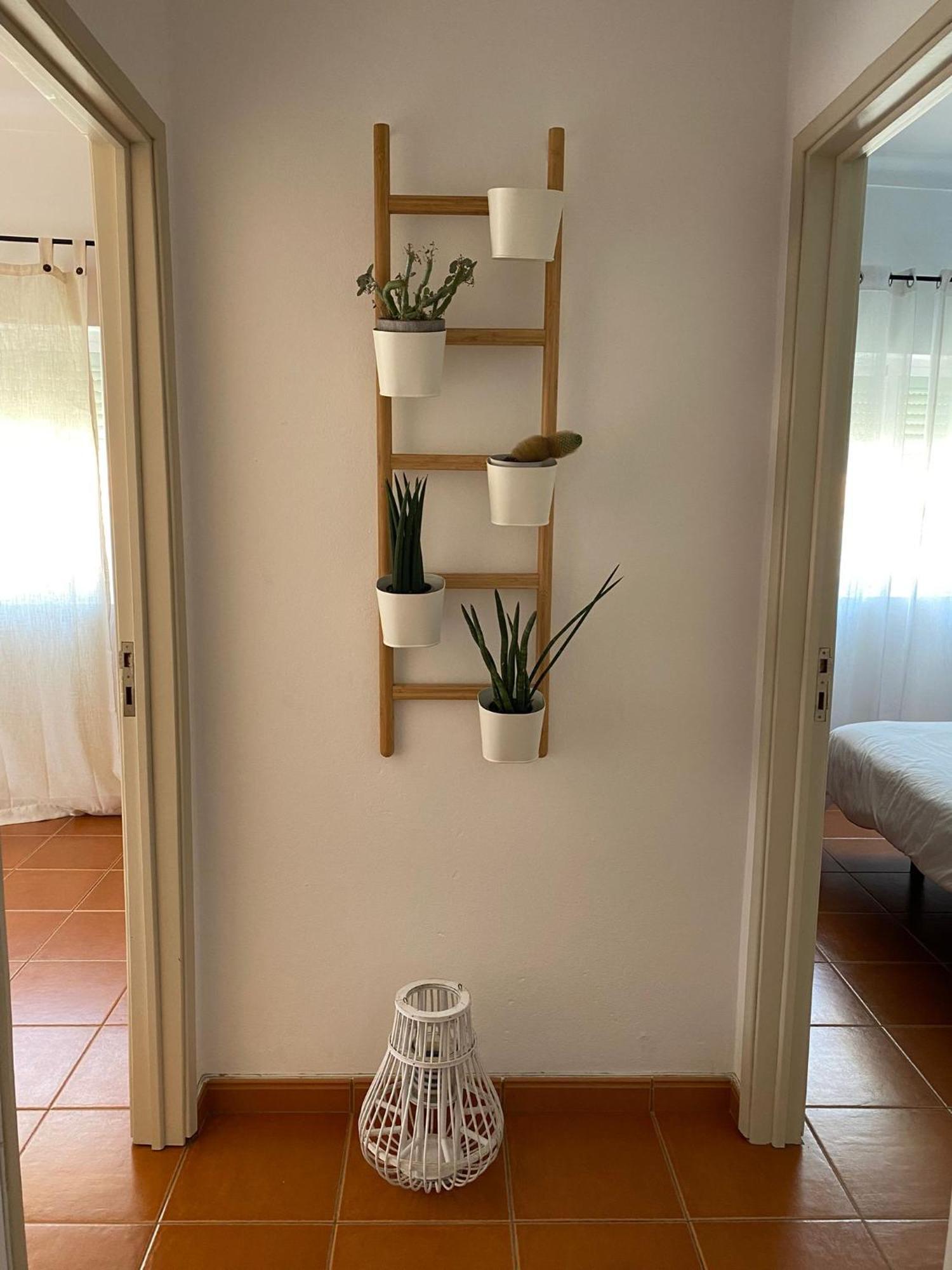 Apartamento Vicentino Vila Nova de Milfontes Exteriér fotografie