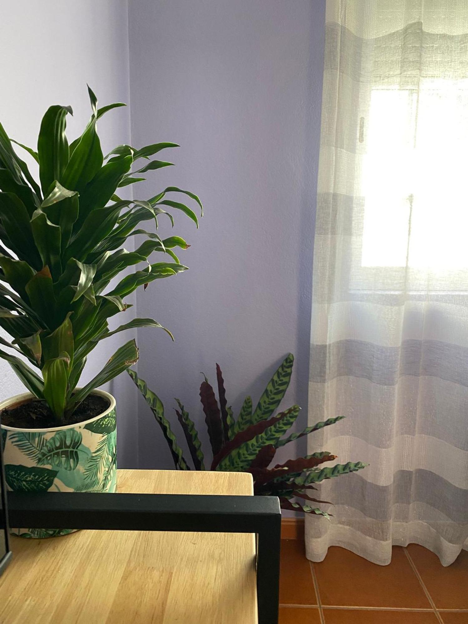 Apartamento Vicentino Vila Nova de Milfontes Exteriér fotografie